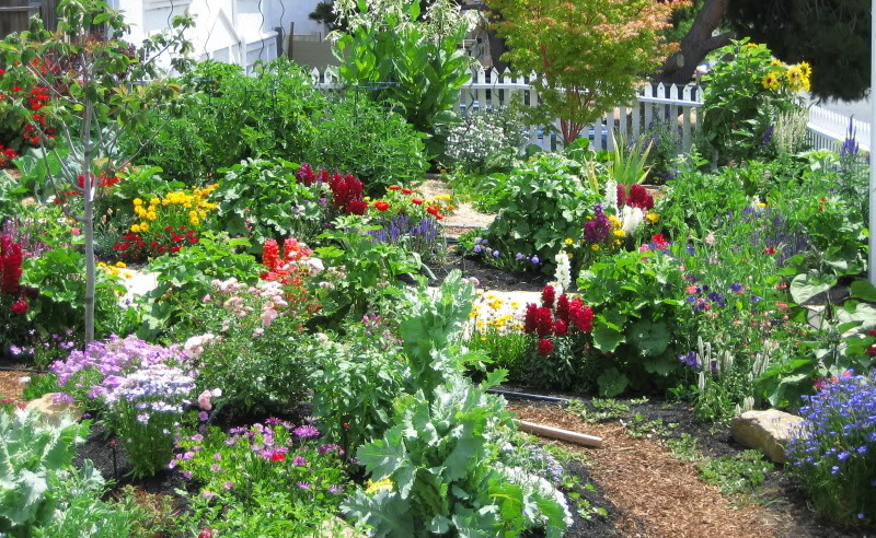 The Singing Gardener My Inspiration