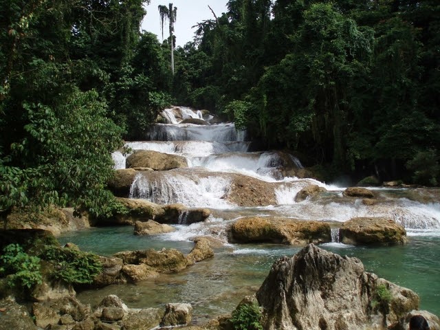 Natural Wonders Huge Tits Natural Wonders Huge Tits