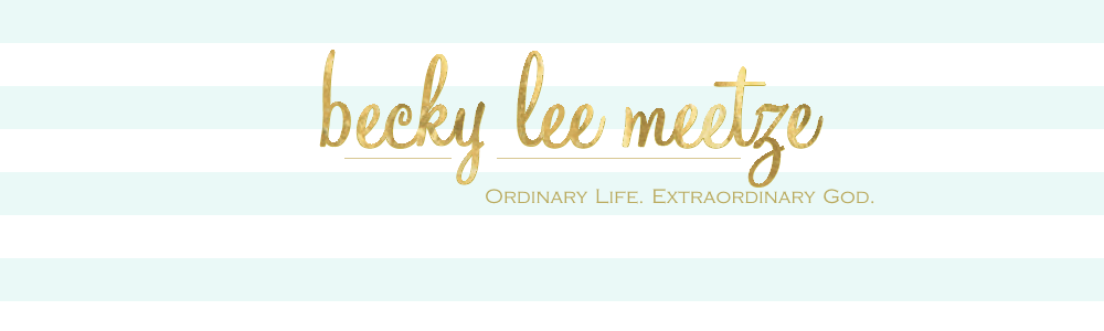 Becky Lee Meetze