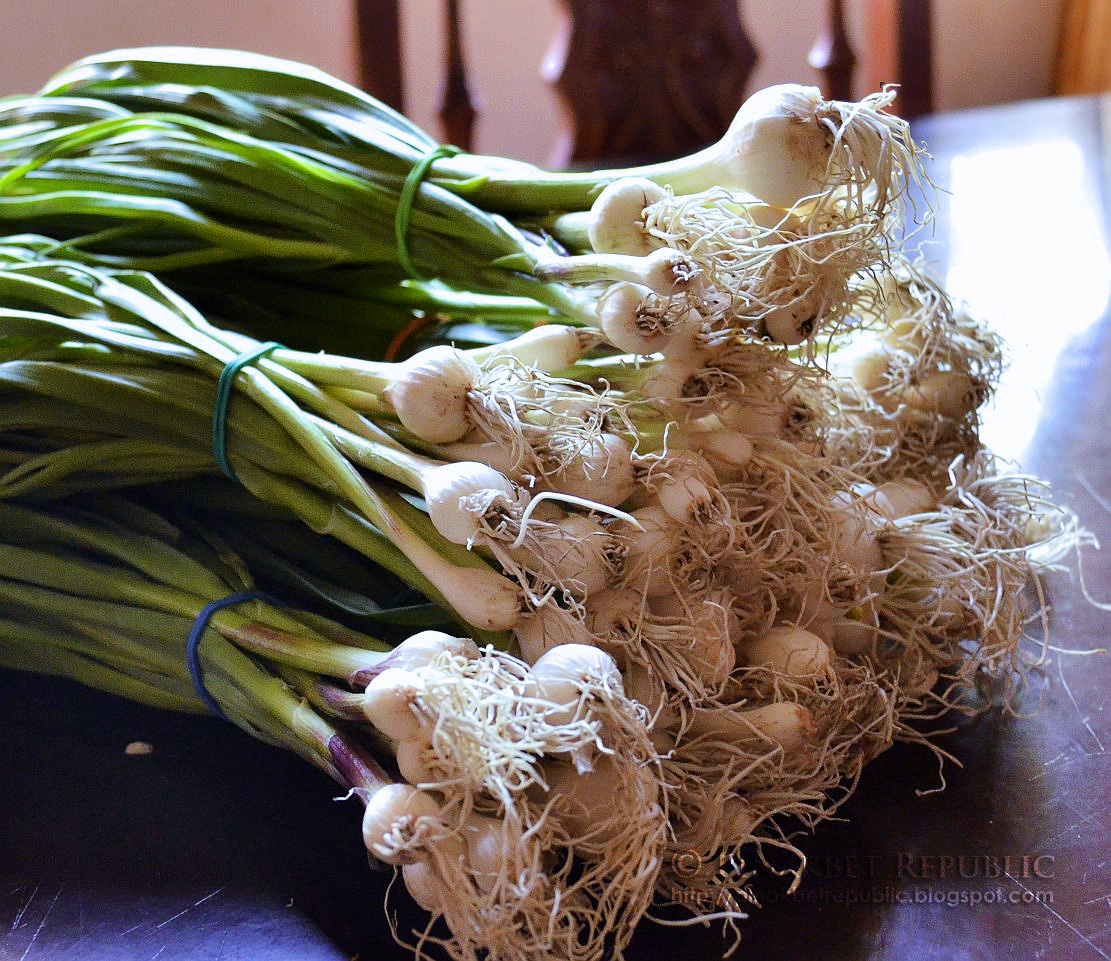 pinakbet a bawang, young garlic stew PINAKBET REPUBLIC