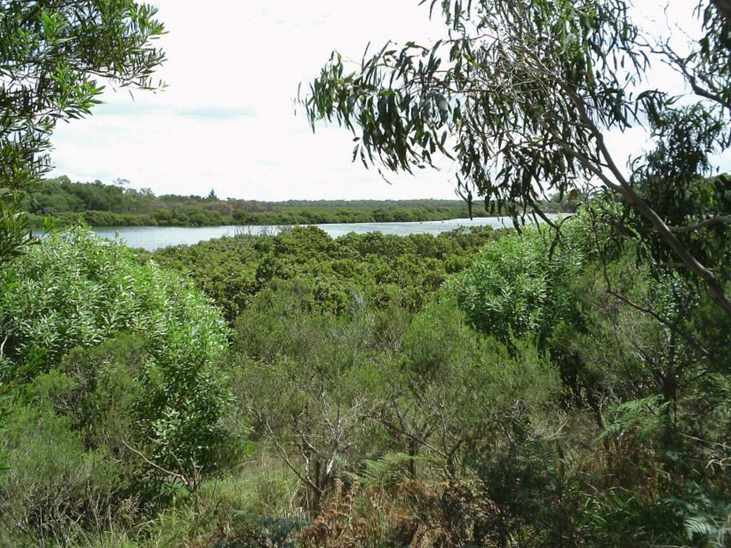 TRACKS, TRAILS AND COASTS NEAR MELBOURNE Cannon's Creek Coastal Park