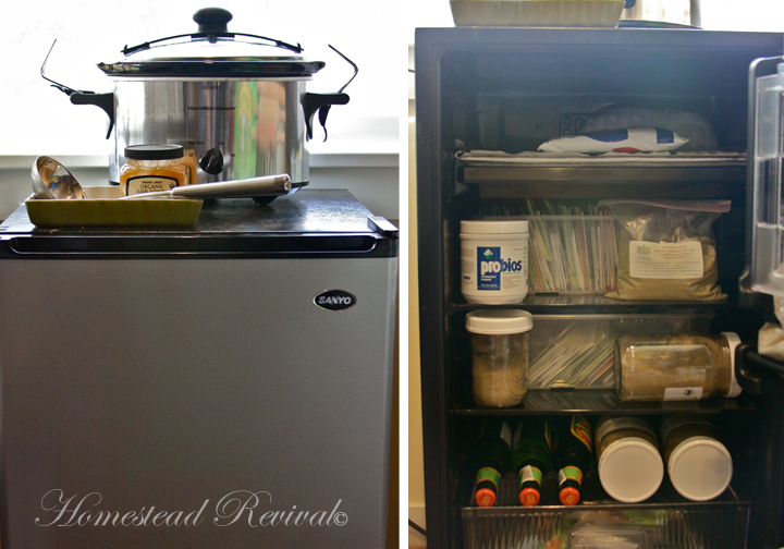 Homestead Revival Ginger Spice Decoction