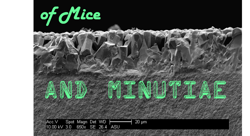 of Mice and Minutiae