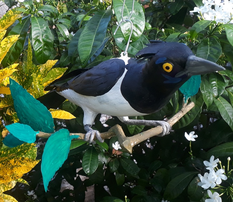 "CANCÃO" de garrafa pet