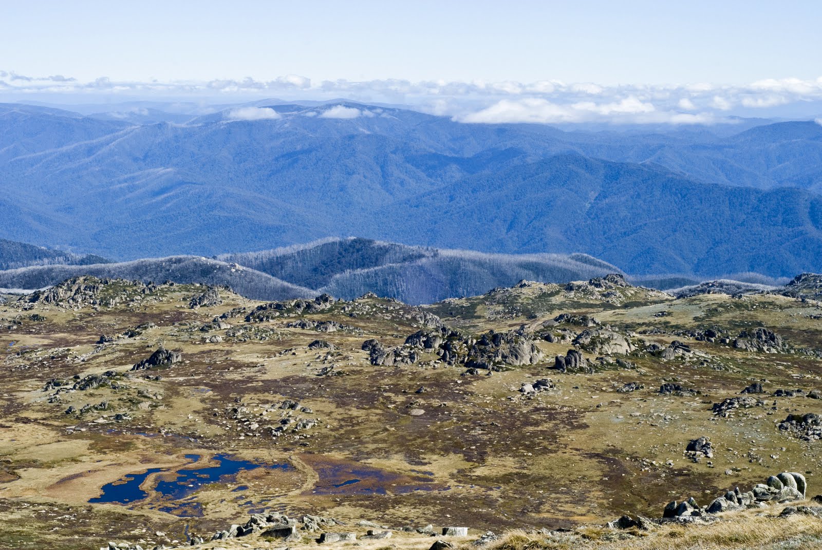 Beautifully Unexpected Mount Kosciusko