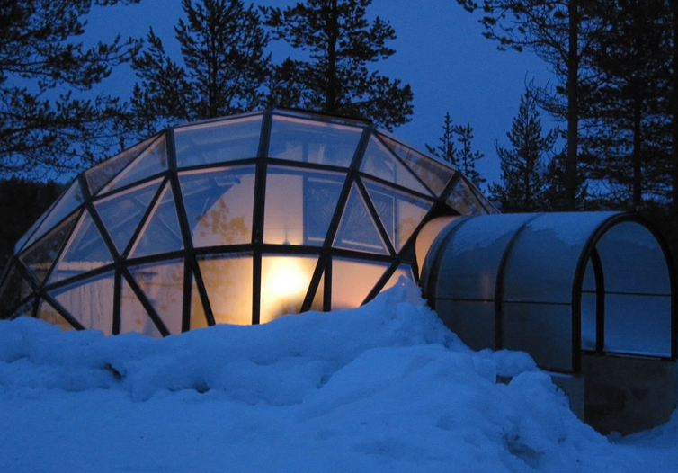 Northern Lights Sled Dog Rescue Address Northern Lights Sled Dog Rescue Address