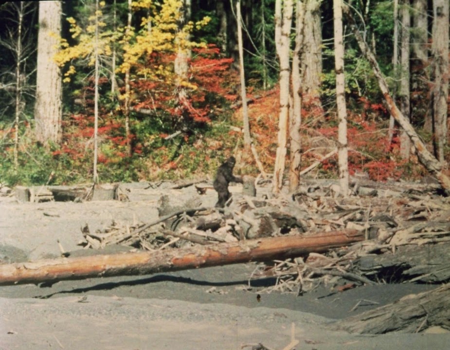 BIGFOOT’S bLOG: MK DAVIS, STILL LOST IN THE WOODS LOOKING FOR THE