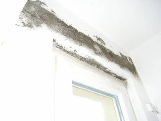 Rastlos Der Wanderblog Wandern In Nrw