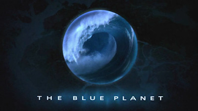 shop blue planet review shop blue planet review
