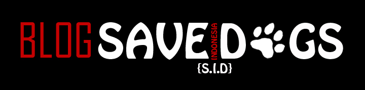 BLOG SAVE INDONESIA DOGS