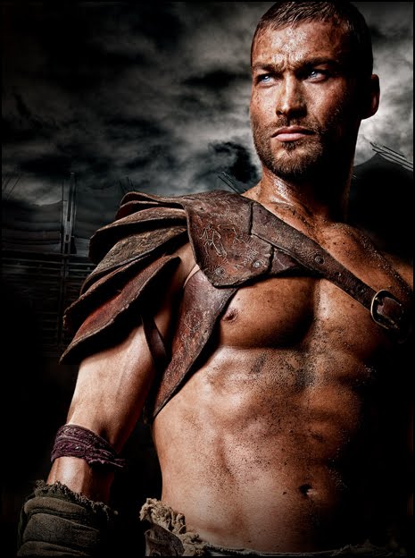 andy whitfield