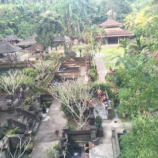 IBMF Bali. Tegalalang.