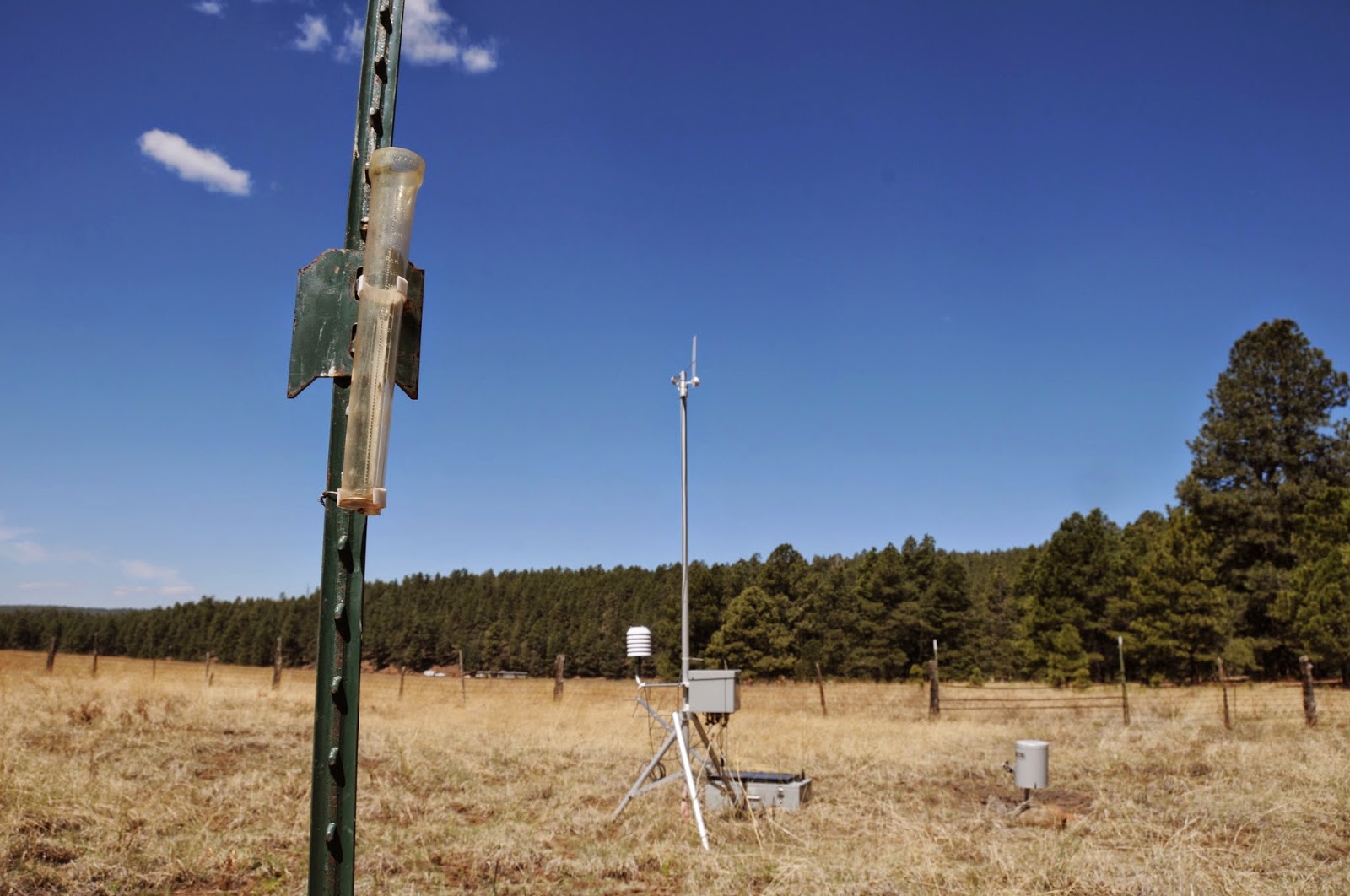 Arizona Hiking LEROUX SPRINGS