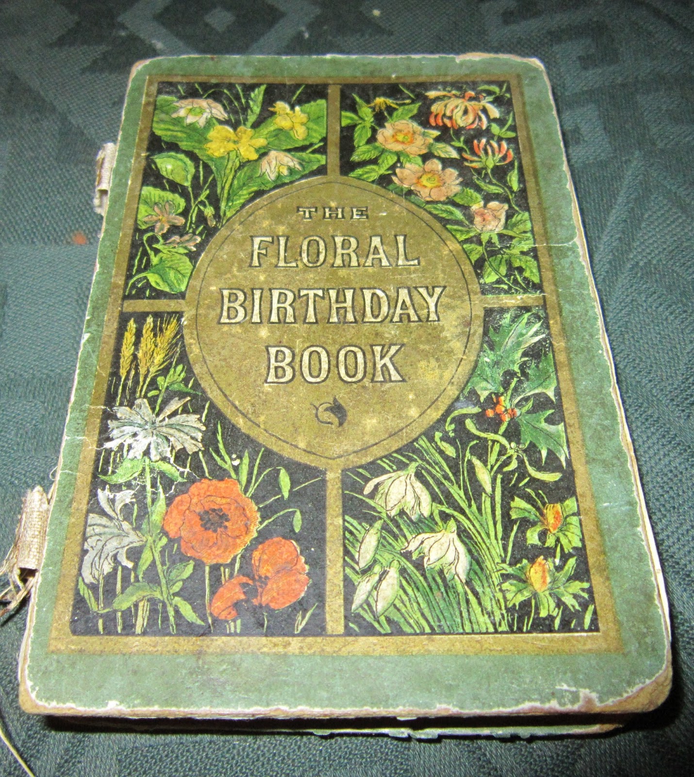 Natural Twigs n Spices