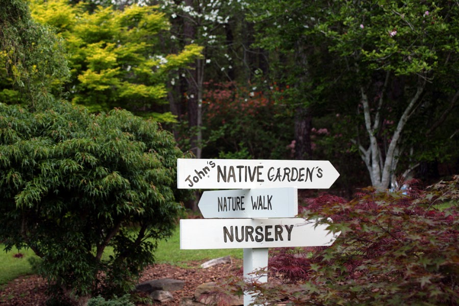 Sunny Side Up Gardening at its Finest