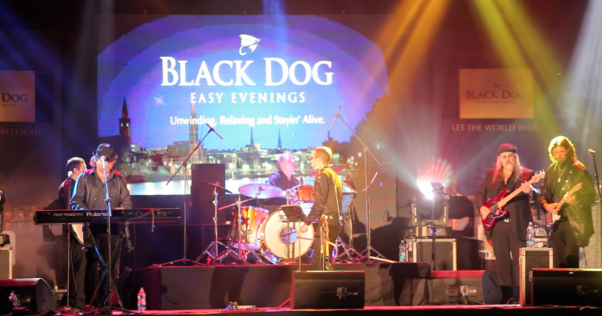 Unwind And Relax With Black Dog Scotch!