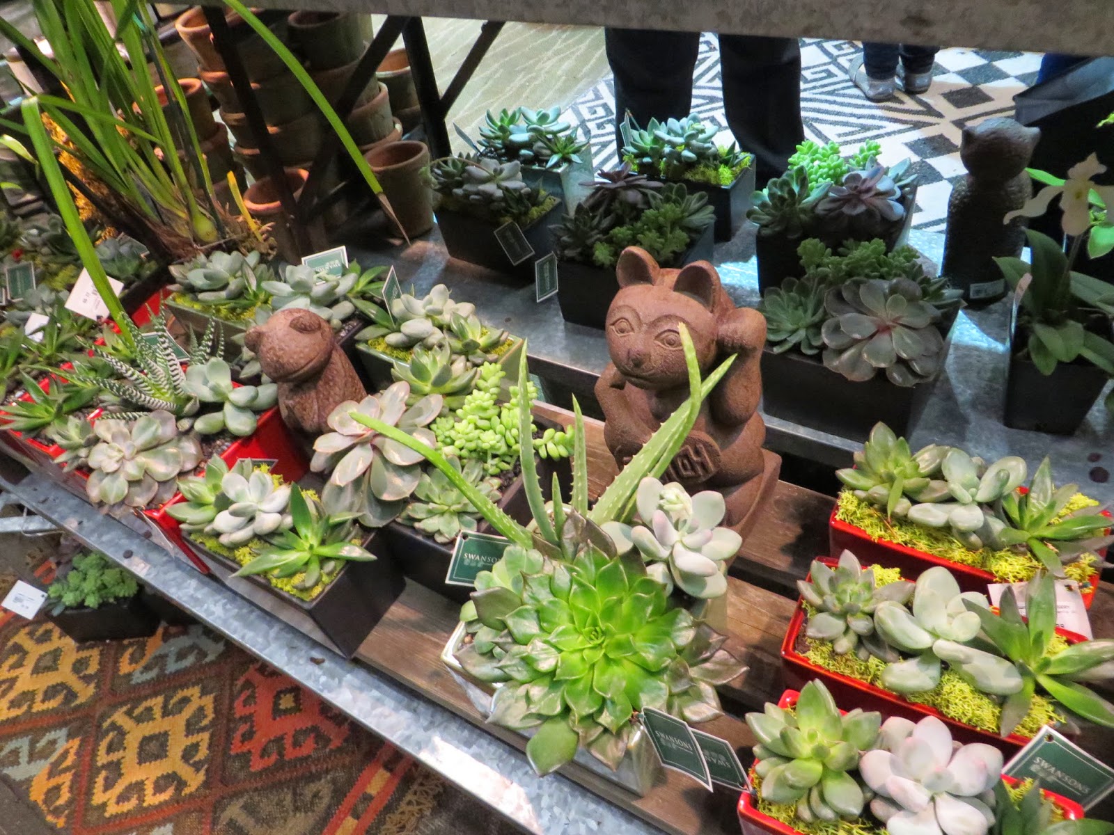 The Northwest Flower and Garden Show Seattle