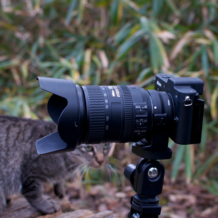 オシャレ ニコン Nikon マウントアダプター FT-1 - その他