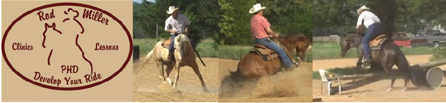 Performance Horse Development With Rod Miller