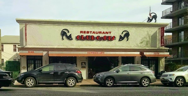 New Cats Cafe Brooklyn Bay Ridge New Cats Cafe Brooklyn Bay Ridge
