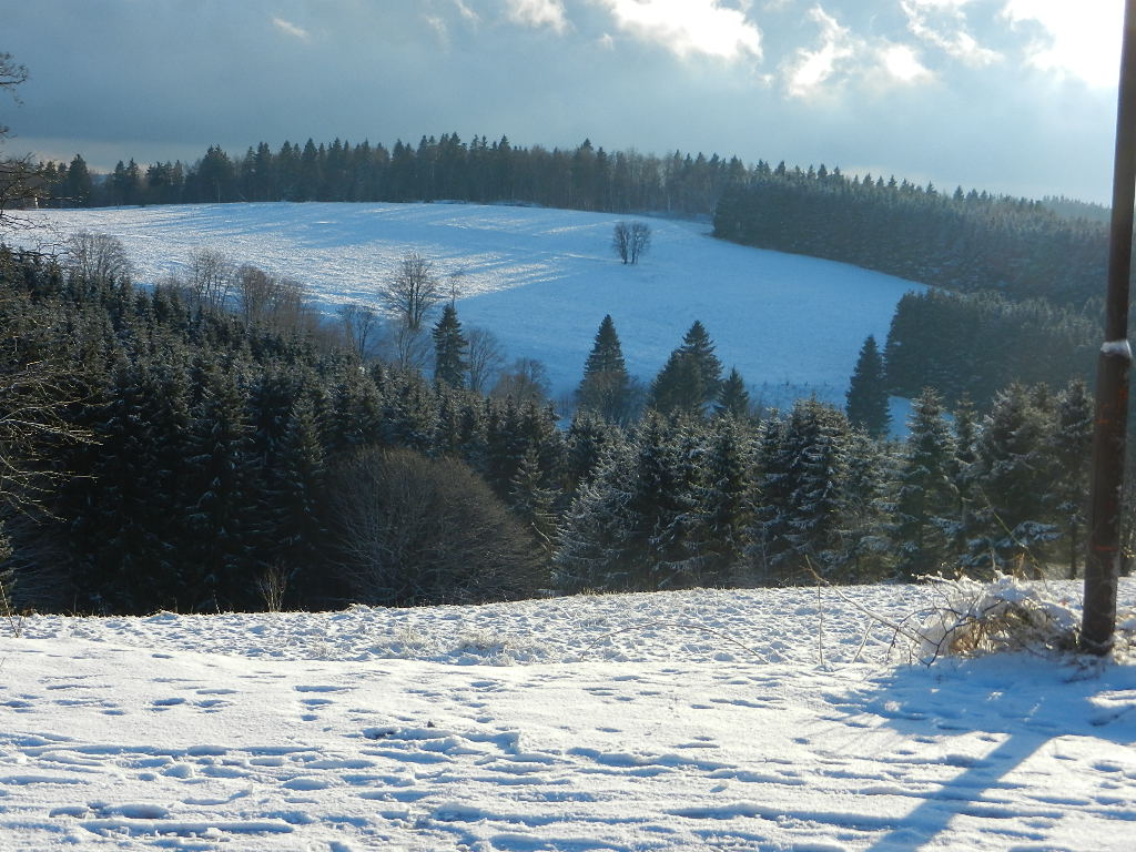 Museum Schloss Burgk Pirckheimer Gesellschaft