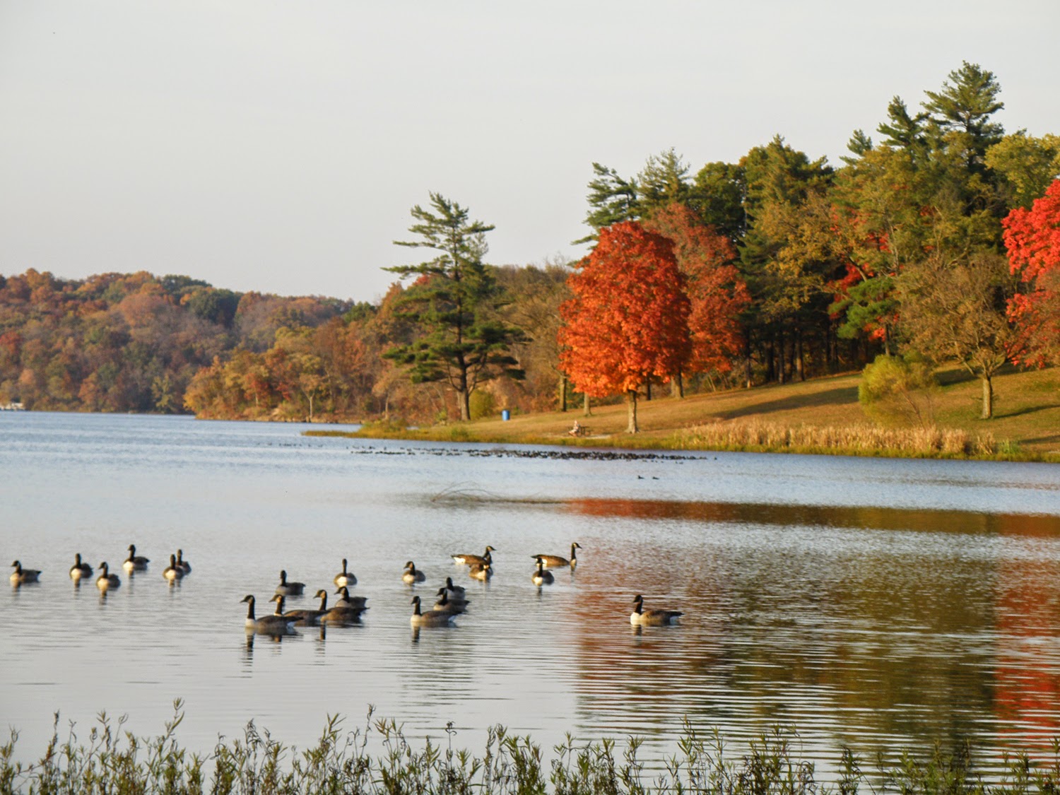 Kansas City Kansan PHOTOS 2014 fall foliage at Wyandotte County Lake
