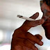 2,6 mil pessoas morrem por ano vítimas do 'tabagismo passivo'