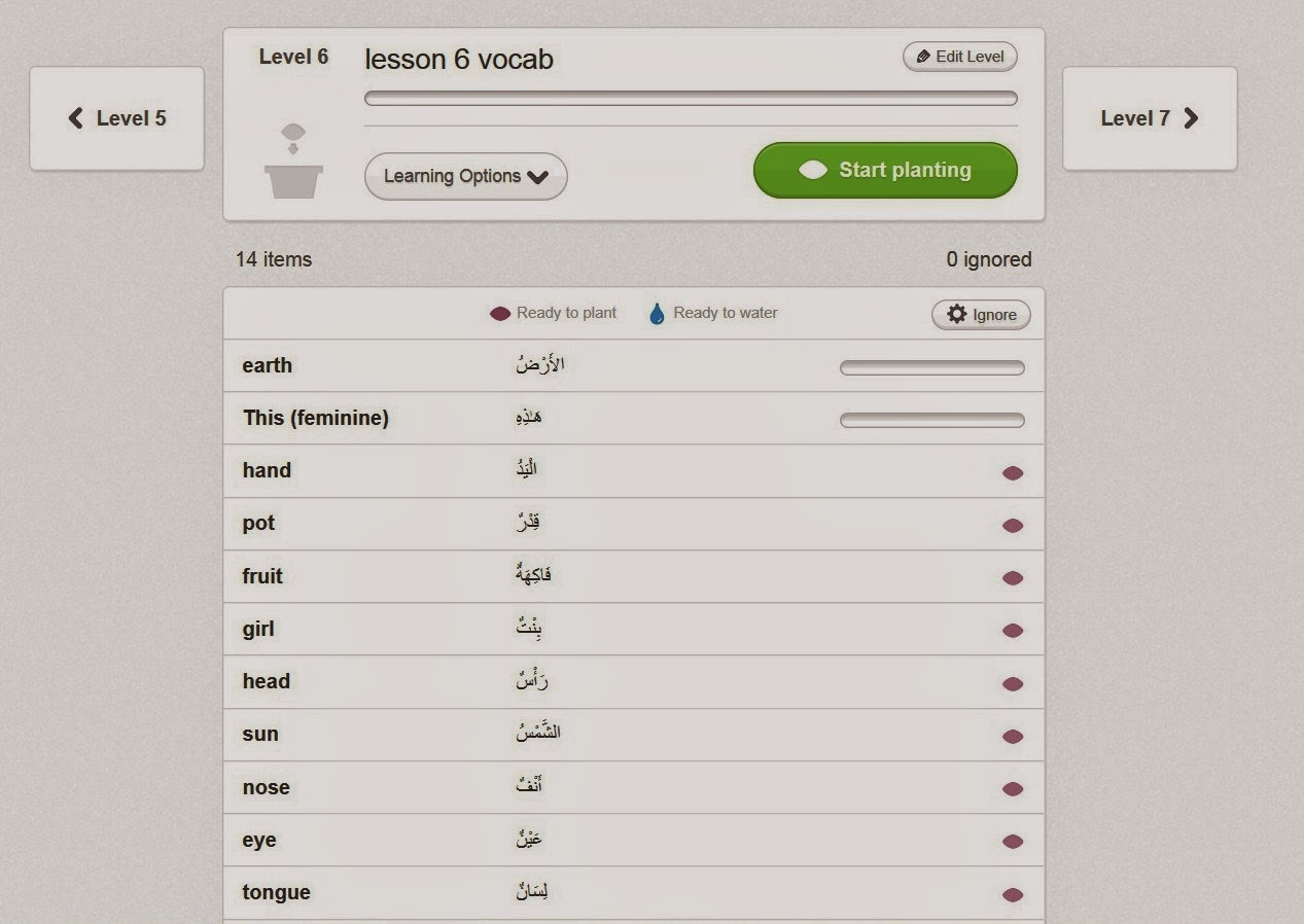 madina arabic vocab