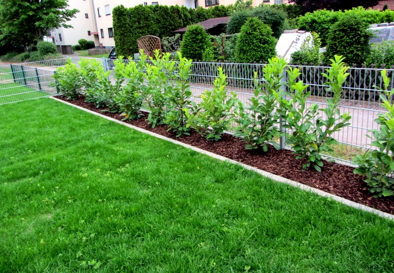Unser Hausbau mit OKAL Fortschritte Rasen und Hecke