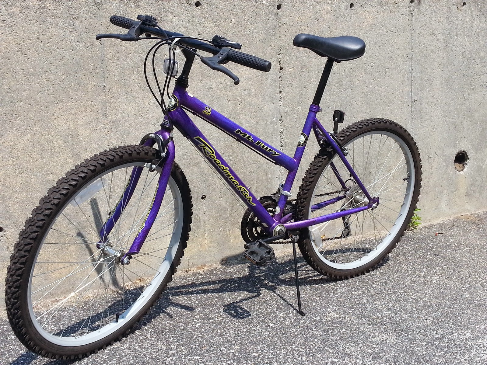 roadmaster mountain fury