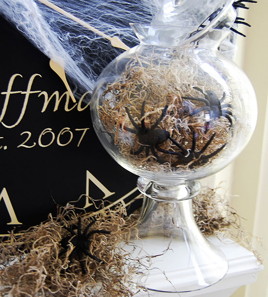See my Fabulous Halloween Filler Ideas for apothecary jars!