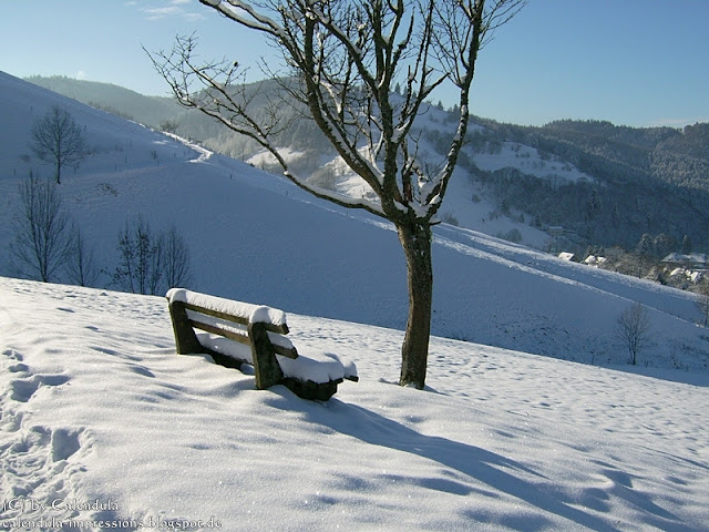 Schnee Bank