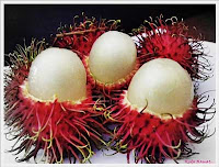 Manfaat Buah Rambutan Untuk Kesehatan Manfaat Buah Rambutan Untuk Kesehatan
