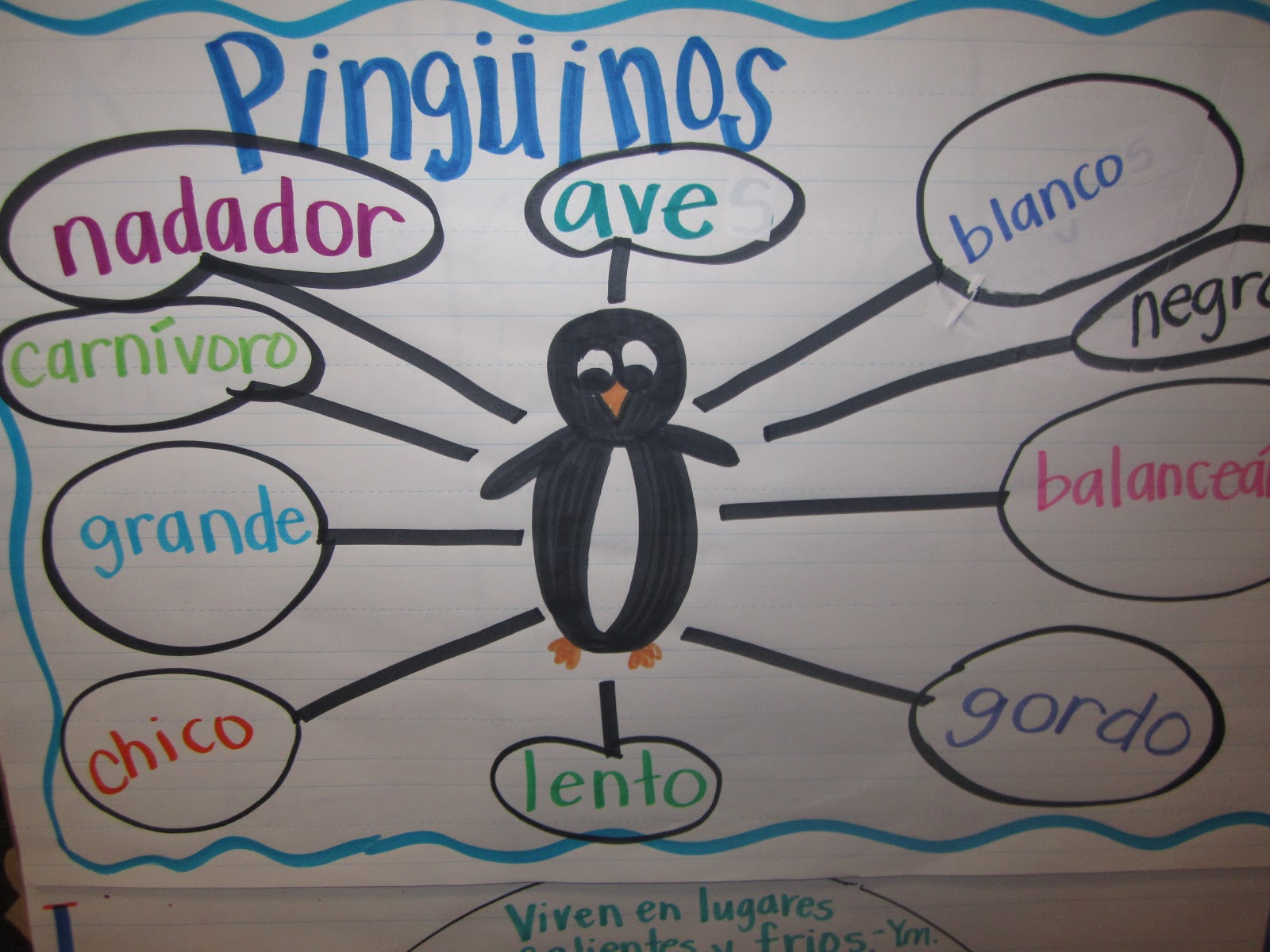 Kinder Dual Language Divas: Penguin Invasion!