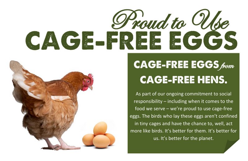 FreshNews Serving Cage Free Sauder's Eggs.