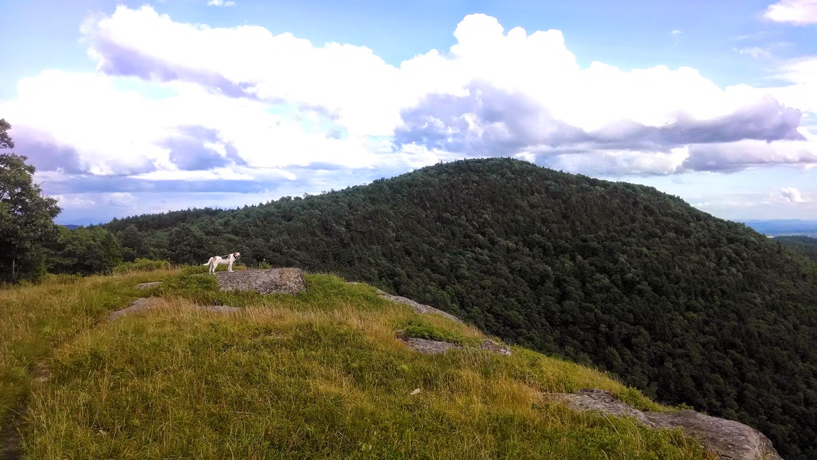 Off on Adventure Pilot Knob Mountain Lake Wild Forest 7/18/14