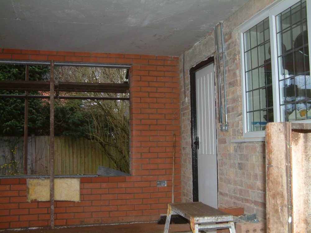 Enten Und Anderes In White Gables February 2011