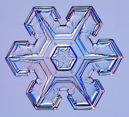 Geometria natural   ( copo de nieve )