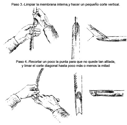 pluma pluma