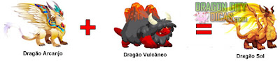 Dragão Sol - Cruzamentos Dragão Sol - Cruzamentos