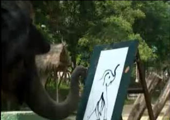 IMPERDIBLE, Elefante pintando autoretrato