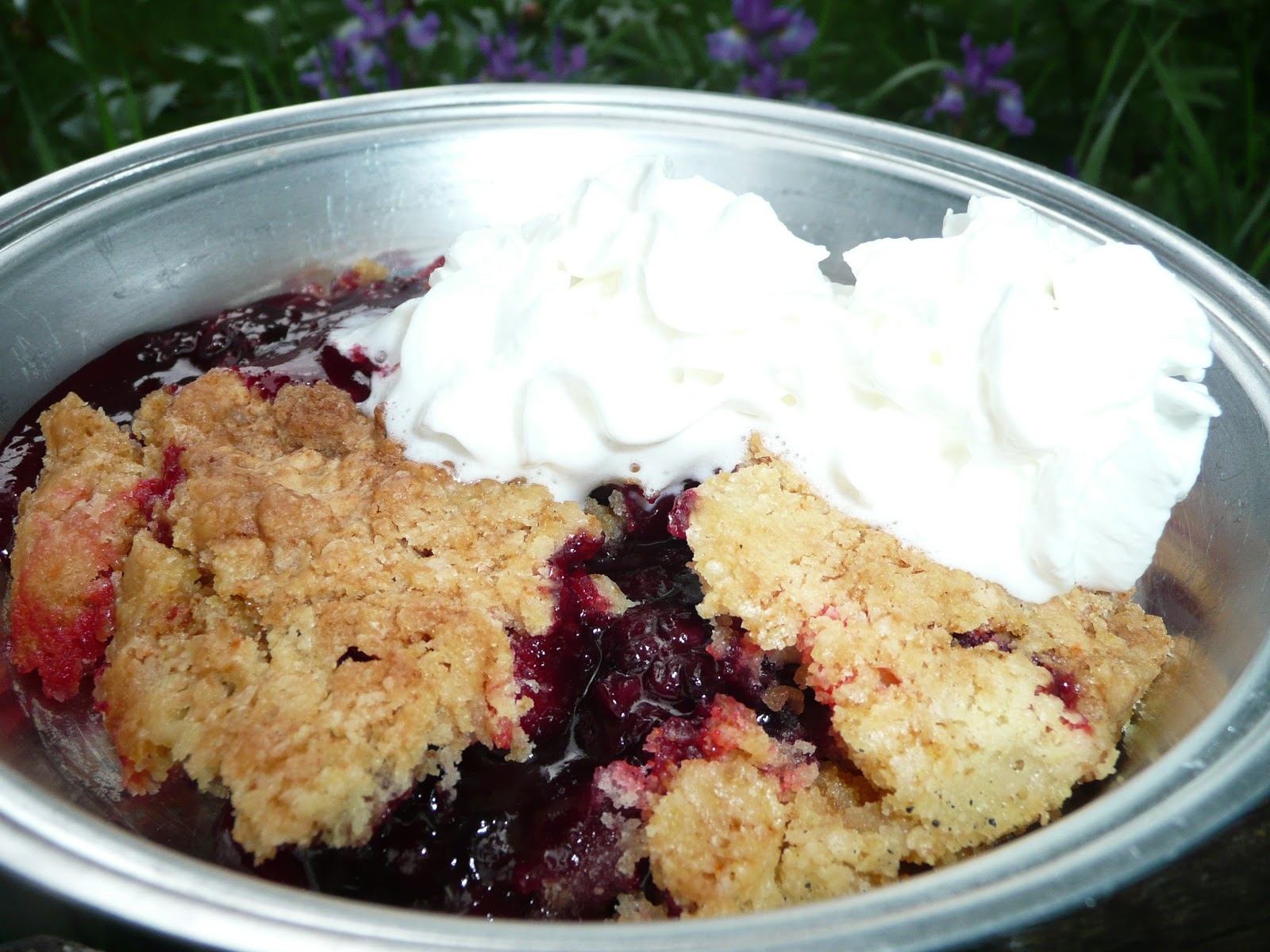Everyday Dutch Oven Very Berry Blackberry Dump Cake