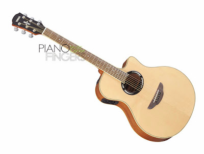 [Image: apx500ii-small1.jpg]