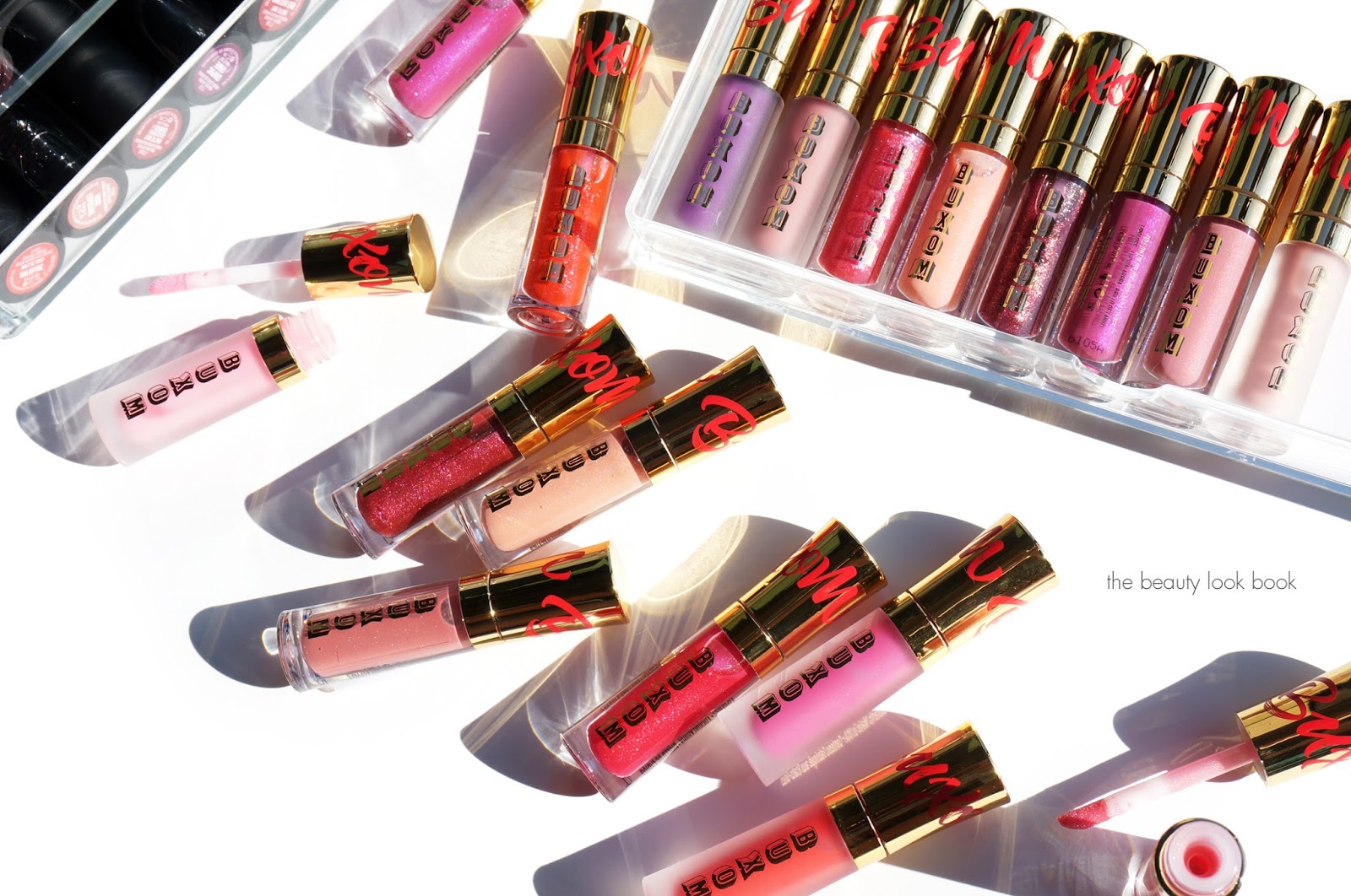 The lipset thesis image