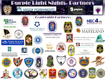 "Purple Light Nights' Media Partners