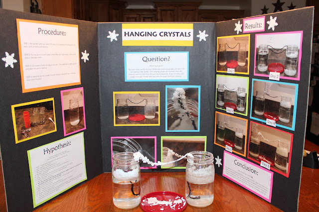 The Manwarings: Kaylee's 5th Grade Science Project