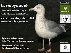 THE LARIDAYS 2016 PROGRAMA / EGITARAUA / PROGRAM