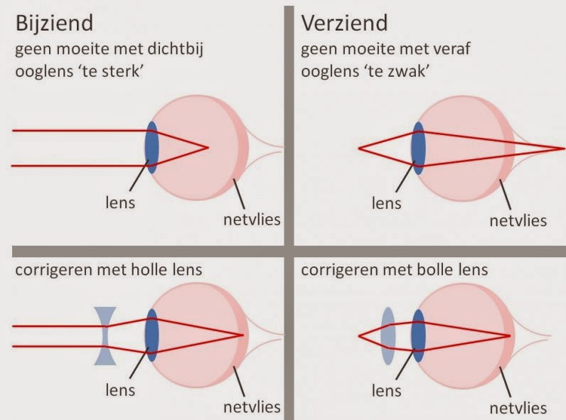 Zintuigen: Ogen zien