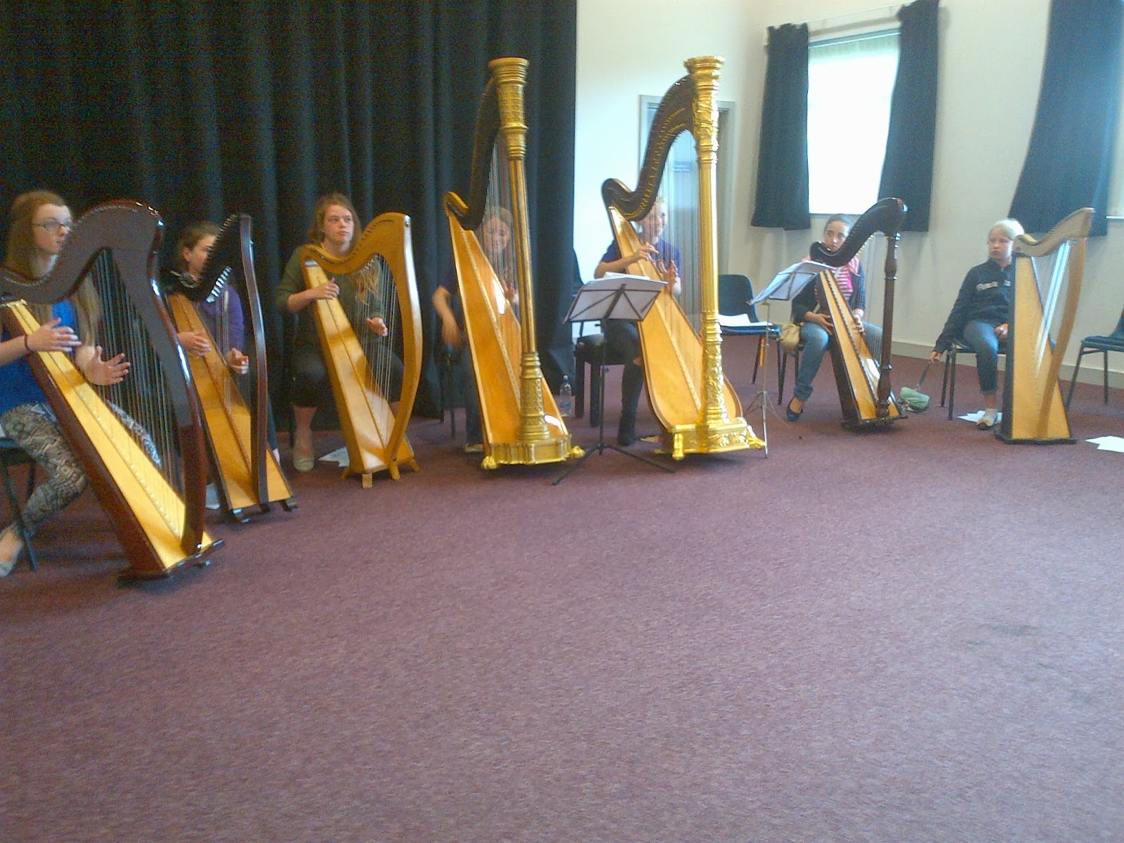 NYO Summer 2013 Harp Orchestra National Youth Orchestra of Great Britain