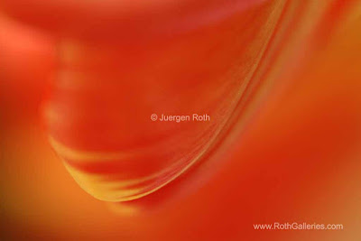http://juergen-roth.artistwebsites.com/art/all/all/all/things+abstract